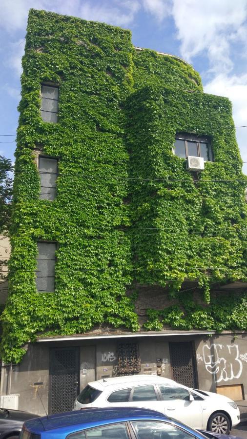 Central Green House Βουκουρέστι Εξωτερικό φωτογραφία